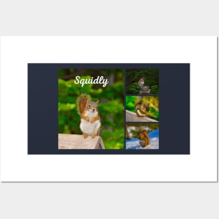 Squidly Squirrel Posters and Art